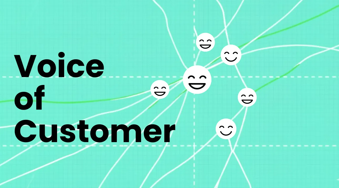 Voice of Customer Strategy